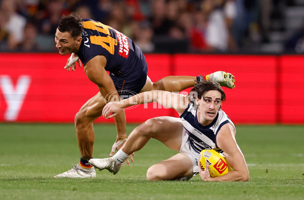 AFL 2025 Round 05 - Adelaide v Geelong - A-58506818