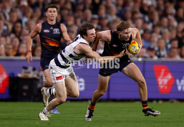 AFL 2025 Round 05 - Adelaide v Geelong - A-58506819