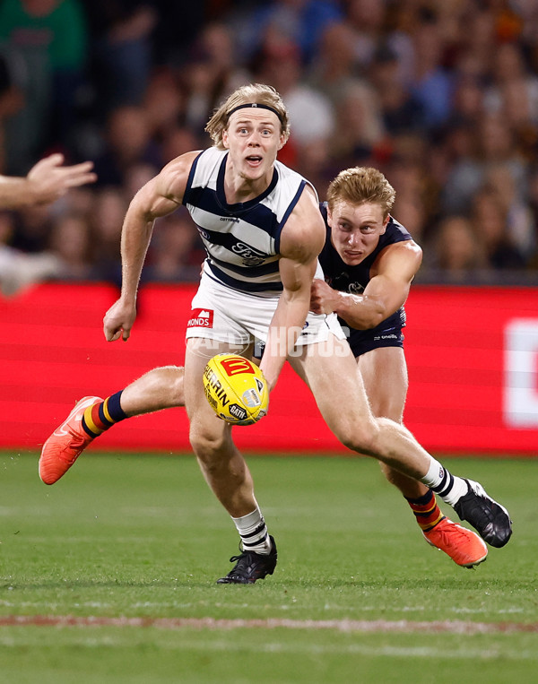 AFL 2025 Round 05 - Adelaide v Geelong - A-58506821