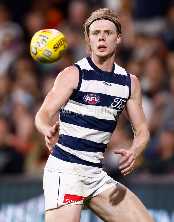 AFL 2025 Round 05 - Adelaide v Geelong - A-58506824