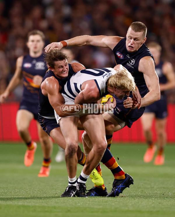 AFL 2025 Round 05 - Adelaide v Geelong - A-58507015