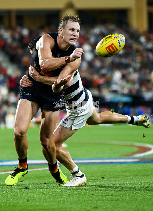 AFL 2025 Round 05 - Adelaide v Geelong - A-58508970