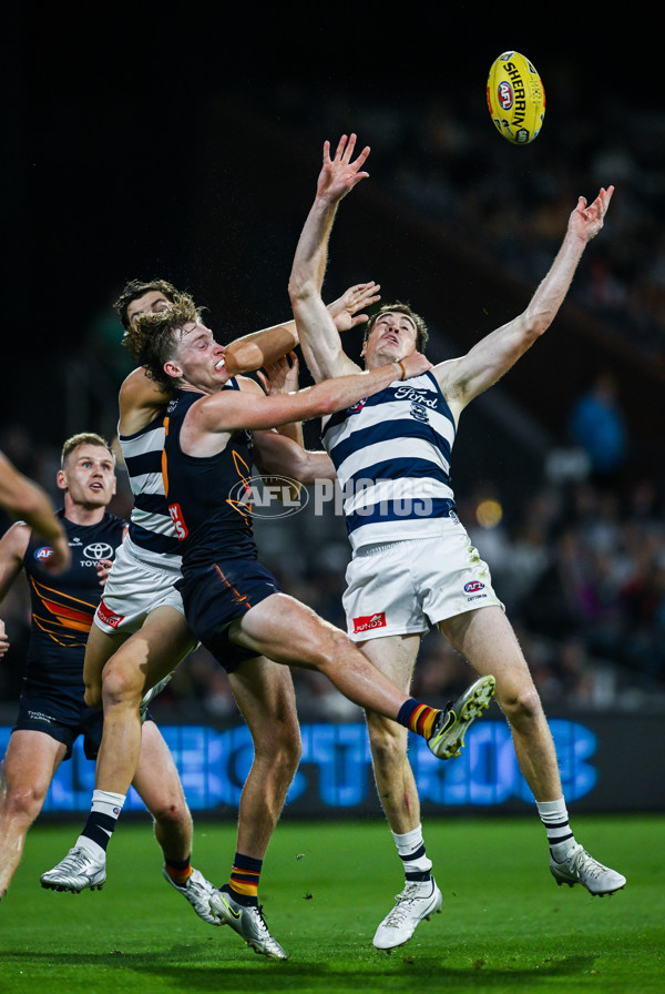 AFL 2025 Round 05 - Adelaide v Geelong - A-58508984