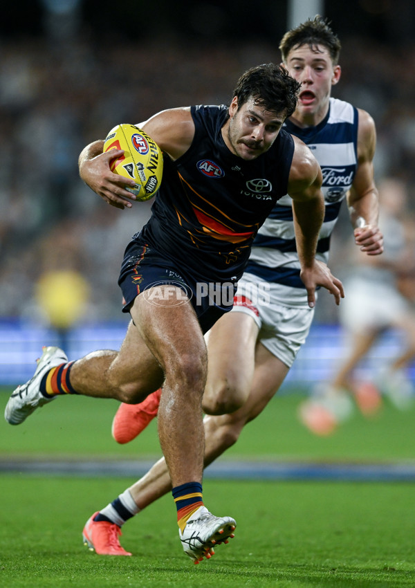 AFL 2025 Round 05 - Adelaide v Geelong - A-58508992