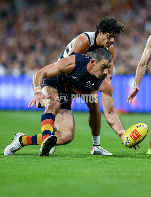 AFL 2025 Round 05 - Adelaide v Geelong - A-58512142