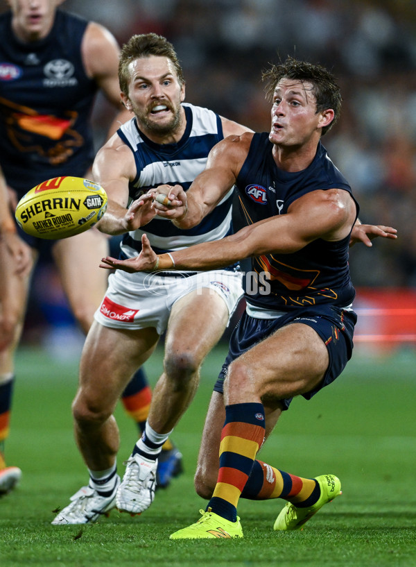 AFL 2025 Round 05 - Adelaide v Geelong - A-58512144