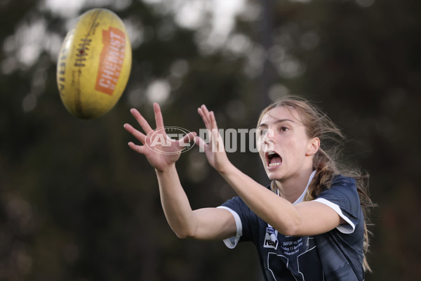 AAMI State Game Women's 2025  - SANFLW v VFLW - A-58512971