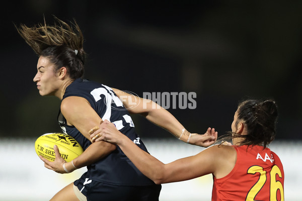 AAMI State Game Women's 2025  - SANFLW v VFLW - A-58512993