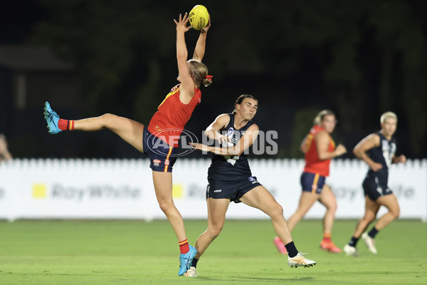 AAMI State Game Women's 2025  - SANFLW v VFLW - A-58516377
