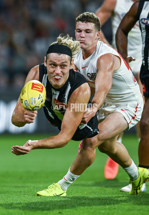 AFL 2025 Round 05 - Collingwood v Sydney - A-58519428