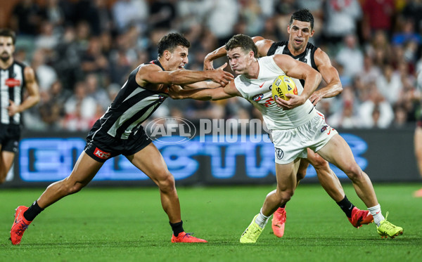 AFL 2025 Round 05 - Collingwood v Sydney - A-58522003
