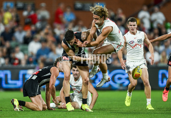 AFL 2025 Round 05 - Collingwood v Sydney - A-58522279