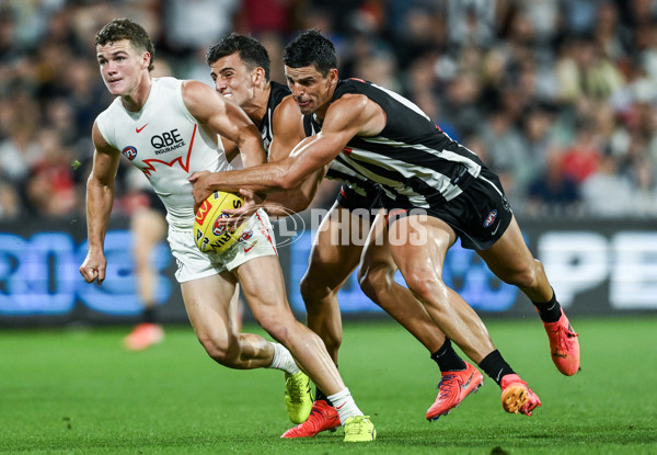 AFL 2025 Round 05 - Collingwood v Sydney - A-58522294