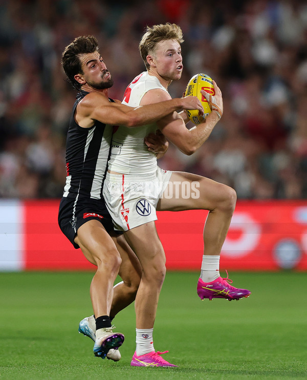 AFL 2025 Round 05 - Collingwood v Sydney - A-58525278