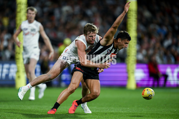 AFL 2025 Round 05 - Collingwood v Sydney - A-58527697