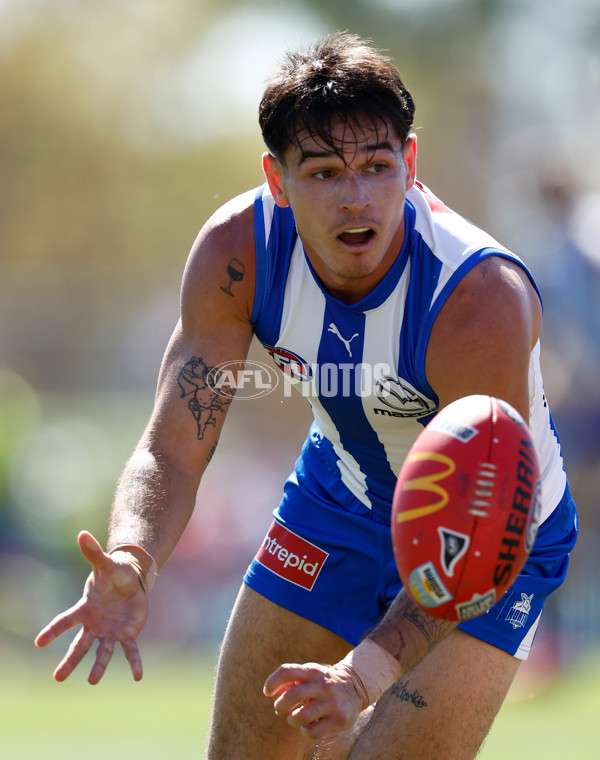 AFL 2025 Round 05 - North Melbourne v Gold Coast - A-58532122