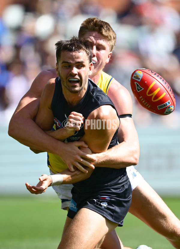 AFL 2025 Round 05 - Carlton v West Coast - A-58534432