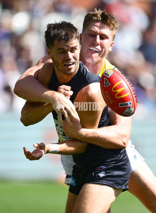 AFL 2025 Round 05 - Carlton v West Coast - A-58534440
