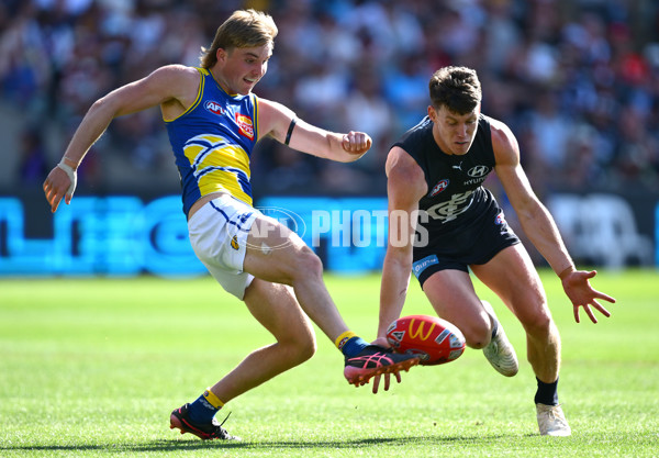 AFL 2025 Round 05 - Carlton v West Coast - A-58536829