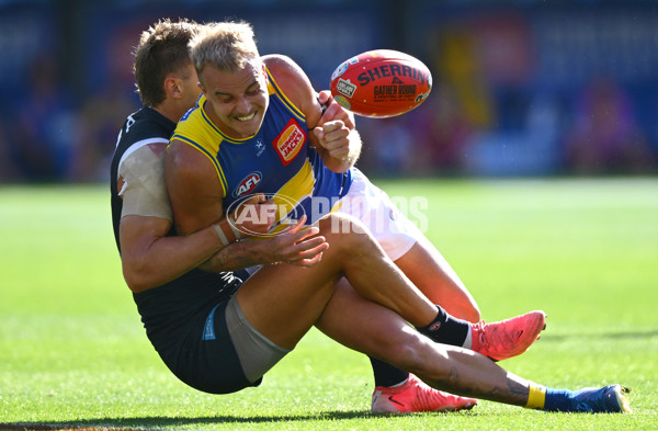 AFL 2025 Round 05 - Carlton v West Coast - A-58537421