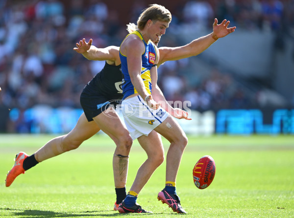 AFL 2025 Round 05 - Carlton v West Coast - A-58537424