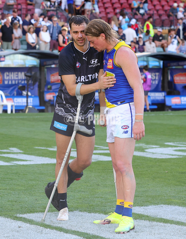 AFL 2025 Round 05 - Carlton v West Coast - A-58539796
