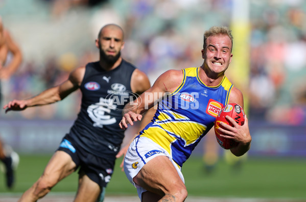 AFL 2025 Round 05 - Carlton v West Coast - A-58544789