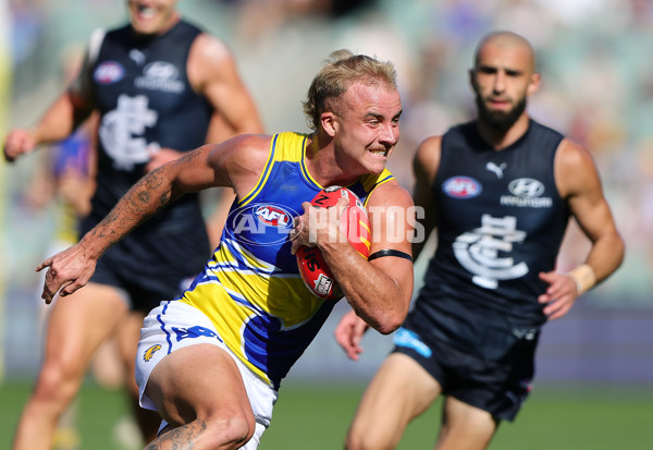 AFL 2025 Round 05 - Carlton v West Coast - A-58544791
