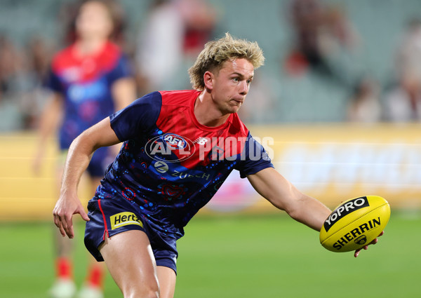 AFL 2025 Round 05 - Melbourne v Essendon - A-58547729