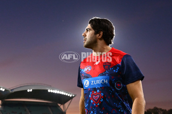 AFL 2025 Round 05 - Melbourne v Essendon - A-58549911