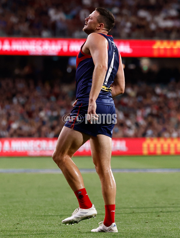 AFL 2025 Round 05 - Melbourne v Essendon - A-58549989