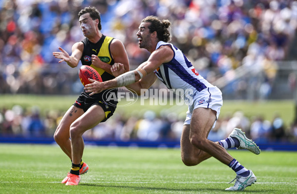 AFL 2025 Round 05 - Richmond v Fremantle - A-58569409