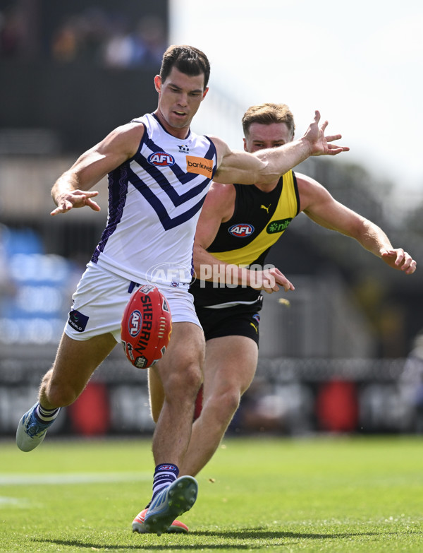 AFL 2025 Round 05 - Richmond v Fremantle - A-58569483