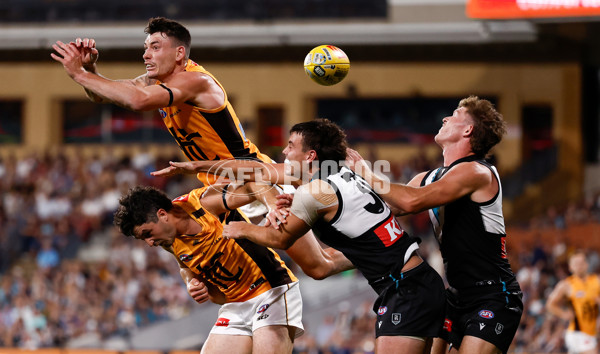 AFL 2025 Round 05 - Port Adelaide v Hawthorn - A-58589784