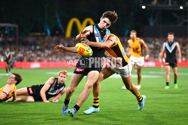 AFL 2025 Round 05 - Port Adelaide v Hawthorn - A-58594888