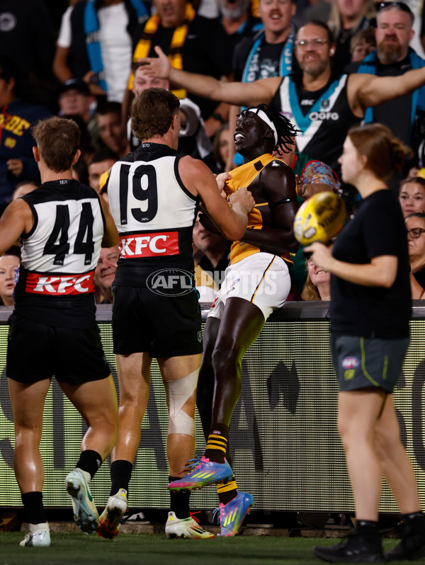 AFL 2025 Round 05 - Port Adelaide v Hawthorn - A-58596504