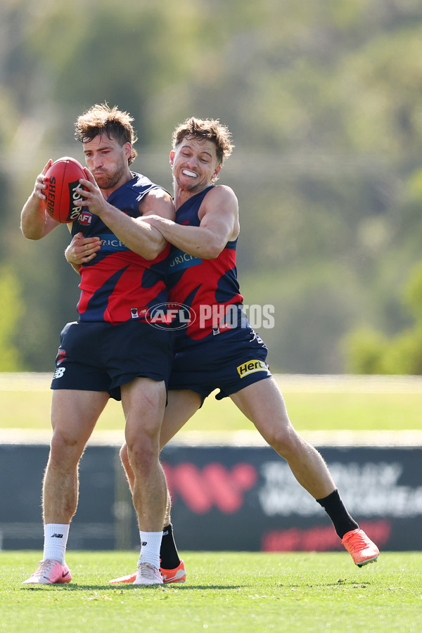 AFL 2025 Training - Melbourne 150425 - A-58599371