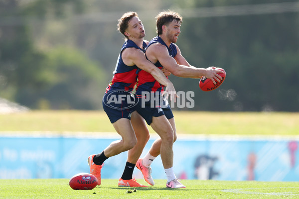 AFL 2025 Training - Melbourne 150425 - A-58612338
