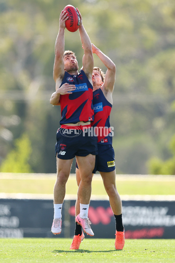 AFL 2025 Training - Melbourne 150425 - A-58612355