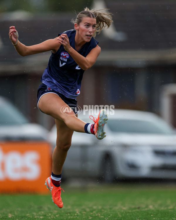 Victorian Diversity All Stars 2025 Girls - Victoria Country v Victoria Metro - A-58614234