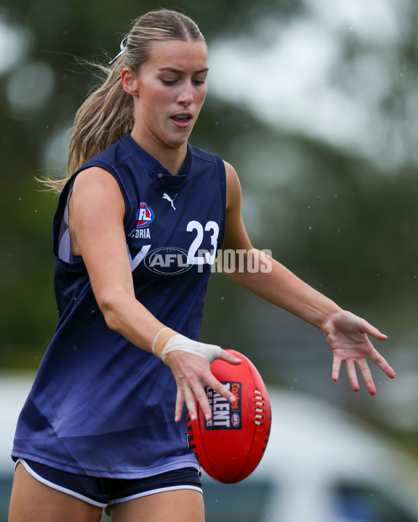 Victorian Diversity All Stars 2025 Girls - Victoria Country v Victoria Metro - A-58614236