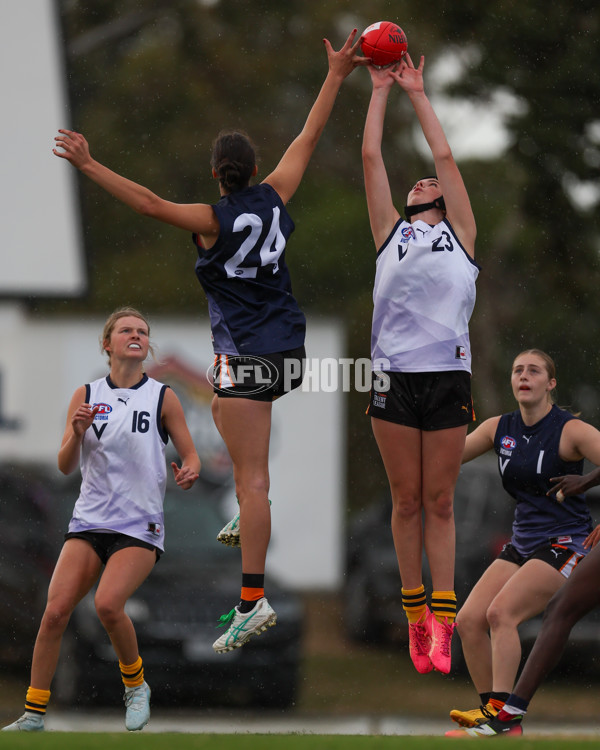 Victorian Diversity All Stars 2025 Girls - Victoria Country v Victoria Metro - A-58615326