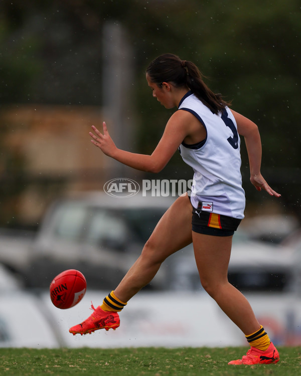 Victorian Diversity All Stars 2025 Girls - Victoria Country v Victoria Metro - A-58615327