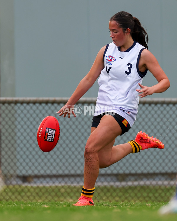 Victorian Diversity All Stars 2025 Girls - Victoria Country v Victoria Metro - A-58615337