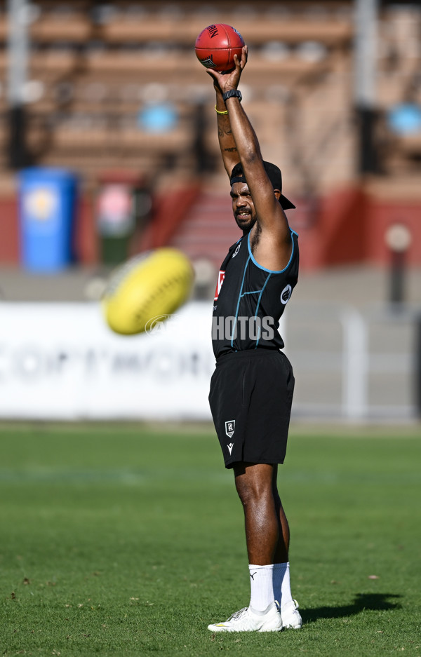 AFL 2025 Training - Port Adelaide 160425 - A-58615349