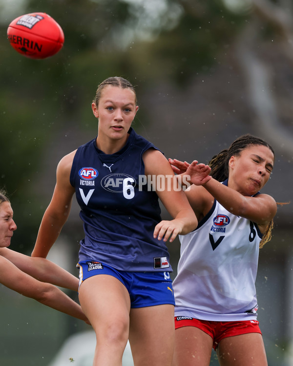 Victorian Diversity All Stars 2025 Girls - Victoria Country v Victoria Metro - A-58620483