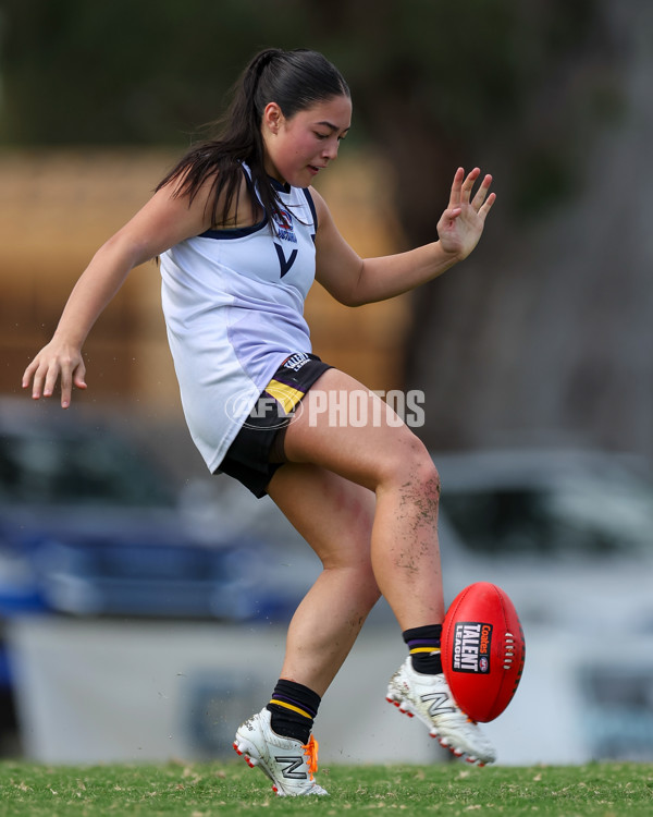 Victorian Diversity All Stars 2025 Girls - Victoria Country v Victoria Metro - A-58625172