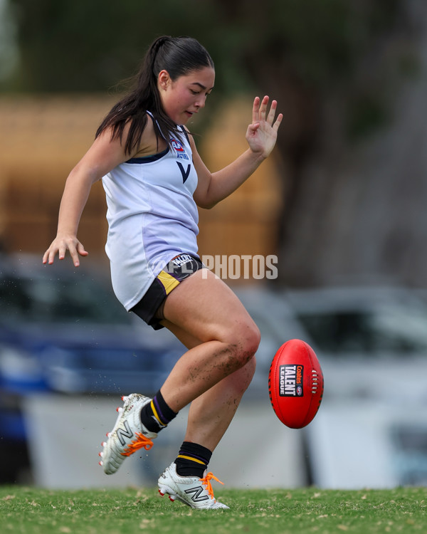 Victorian Diversity All Stars 2025 Girls - Victoria Country v Victoria Metro - A-58625173