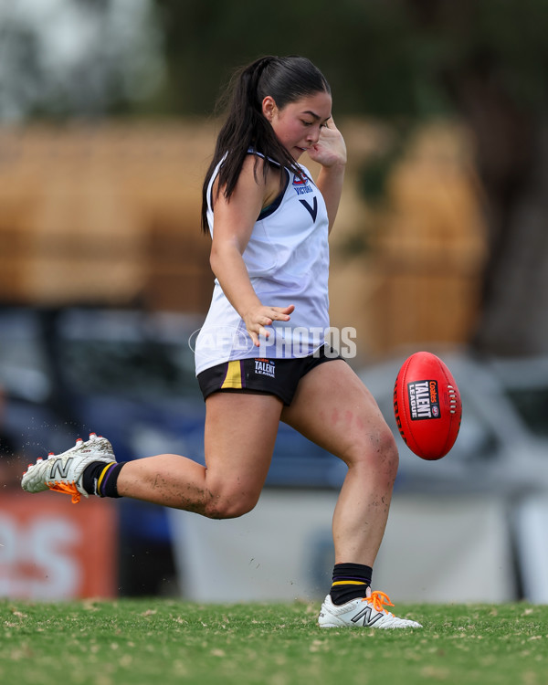 Victorian Diversity All Stars 2025 Girls - Victoria Country v Victoria Metro - A-58625174