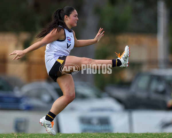 Victorian Diversity All Stars 2025 Girls - Victoria Country v Victoria Metro - A-58625175